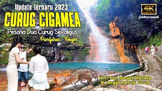 Download lagu INFO TERBARU 2023 || CURUG CIGAMEA BOGOR - VIA GERBANG GUNUNG HALIMUN SALAK @Bangedhyompong mp3