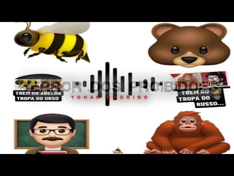 OS FAIXA PRETA DO CV ABELHA, URSO, PROFESSOR E MACACO RUSSO [DJ LZ CPX DJ DUDUZINHO R.VAPO]CPX E PH