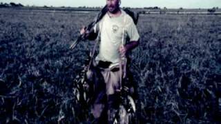 Committed Intro - TQ Multimedia