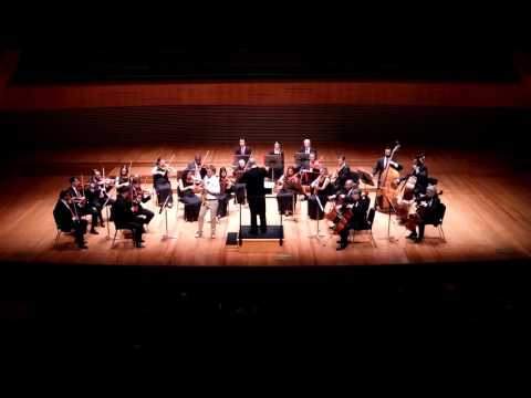 Orquestra de Câmara do Sesiminas -  Piazzolla - Libertango