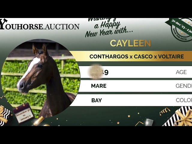 Cayleen under the saddle