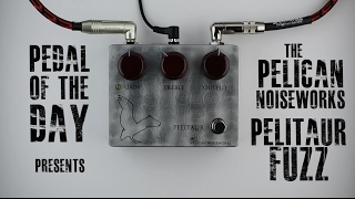 Video thumbnail for Pelican NoiseWorks Pelitaur Fuzz Guitar Effects Pedal Demo Video by Pedal of the Day
