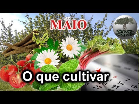 , title : 'Saiba o que cultivar na sua horta em MAIO'