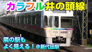 カラフルで映える！細かい違いが面白い！京王井の頭線1000系を見てみよう
