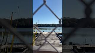 Walking in the park on a sunny day #walking#park#lake#forest#sunny#tree