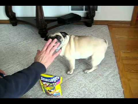 ANOTHER EPISODE OF ODD, STRANGE, AND CRAZY NEWS