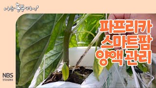 [나는농부다 233회] 파프리카 스마트팜 양액 관리
