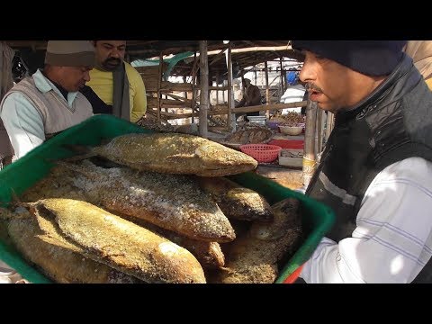 Huge Dry Fish (Shutki Maach) Selling | Digha Mohona West Bengal Video