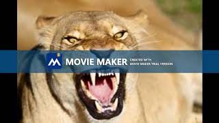 Download lagu Billie Holiday Reggae Cover Version.... mp3