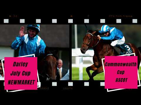 Découvrez MUHAARAR, nouvel étalon au Haras des Faunes en 2022