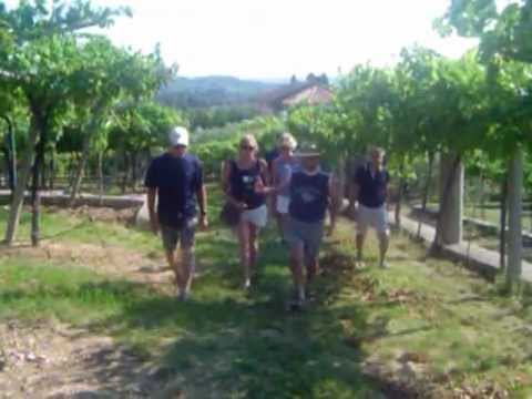 ...this one is "Rondinella"...