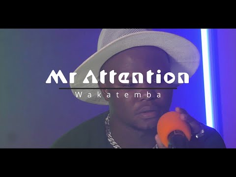 Mr Attention - Wakatemba [Music Box Visualizer]