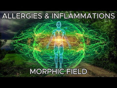 Allergies & Inflammations Morphic Field: Cure Root Cause, Heal Body, Reduce Symptoms, Boost Immunity