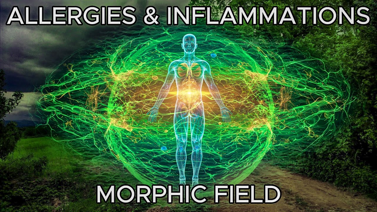 Allergies & Inflammations Morphic Field: Cure Root Cause, Heal Body, Reduce Symptoms, Boost Immunity