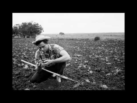 Videoclip de Pick a Bale o' Cotton — Johnny Cash