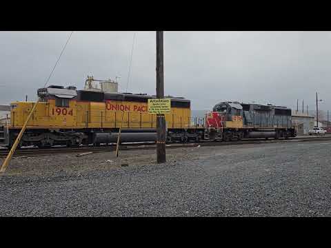 EMD's at idle - UP Albina Yard