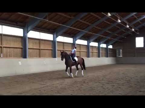 Royal Pleasure, *2006