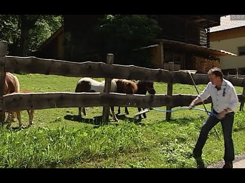 40 Jahre fidele Mölltaler