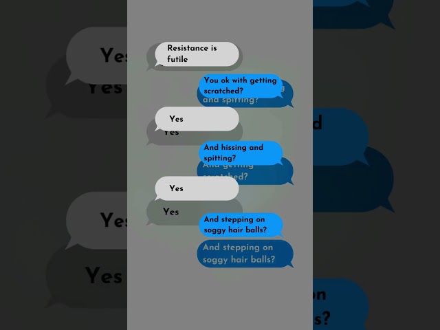 Vídeo relacionado con Star Trek Borg Cube - Altavoz Bluetooth con iluminación verde, efectos de sonido y citas Borg - Memorabilia, regalos, gadgets, coleccionables para los fans de Star Trek