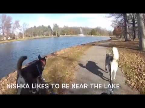 Nishka and Sophie Run 11/19/15