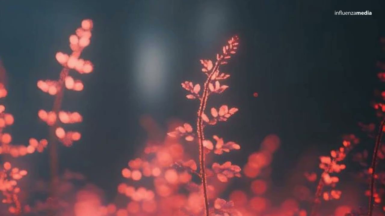 Keeco - Not The Same