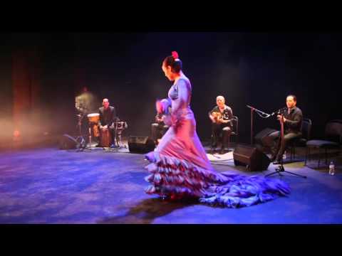Cie Flamenco Vivo