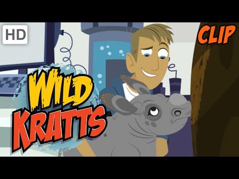 Wild Kratts - Why We Love Nature and Wild Animals