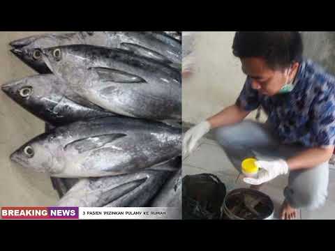 Tiga pasien diizinkan pulang kerumah