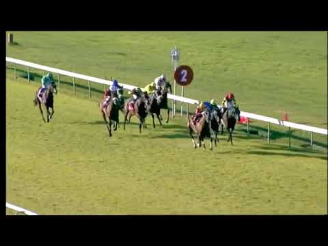 Doublemint – Gr3 Winter Derby