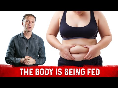 How to Overcome Adrenal Stress with Intermittent Fasting – Dr Berg