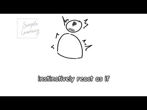 The Rubber Hand Illusion: How the Brain Adapts to Fake Body Parts