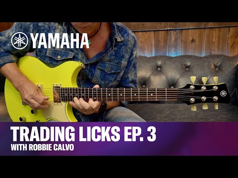 Trading Licks Episode 3 - Guitar Lesson - Intervallic Lines