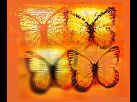 GARDEN WALL Butterfly Song