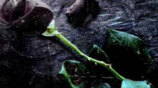 Blutengel-the only one.