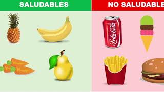 Miss América y Miss Cecilia: Actividades (20 abril 2020)