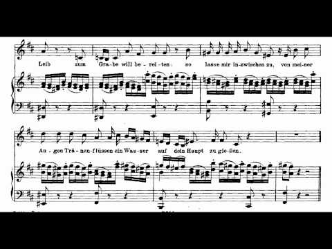 Bach BWV 244-9 Du lieber Heiland du