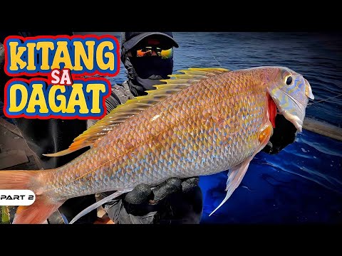 P2-24 HOURS FISHING TRIP - EP1127