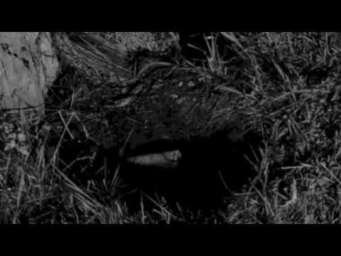 Sham Morris - Oh My God