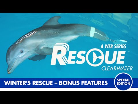 Winter’s Rescue - Rescue Clearwater Season 1 Bonus Episode