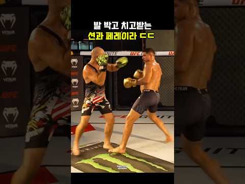 발 박고 치고받는 션과 페레이라 ㄷㄷ