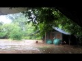 Sri Lanka - Uda Walawe safari, tropical rain in the ...