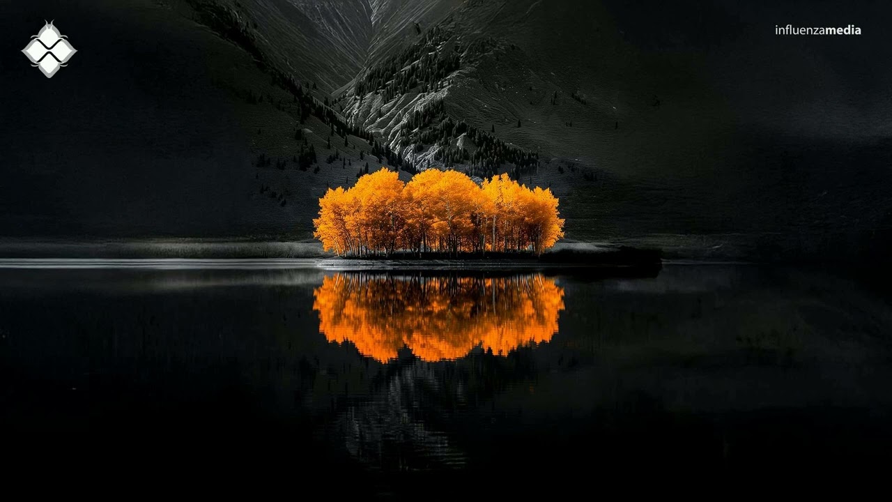 Dynamic Stab - Like Me Around