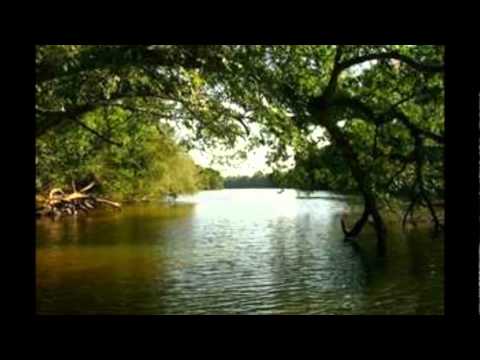 David Castro.. No te Separes De Mi..