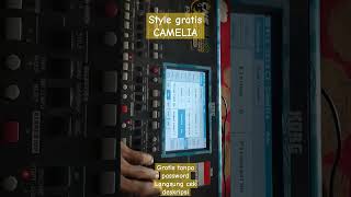 Download lagu STYLE GRATIS CAMELIA TANPA PASSWORD mp3