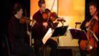 Turtle Island String Quartet - Live Performance at Music Festival (part 3)