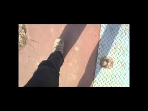 Le bonheur... terre promise Bande annonce