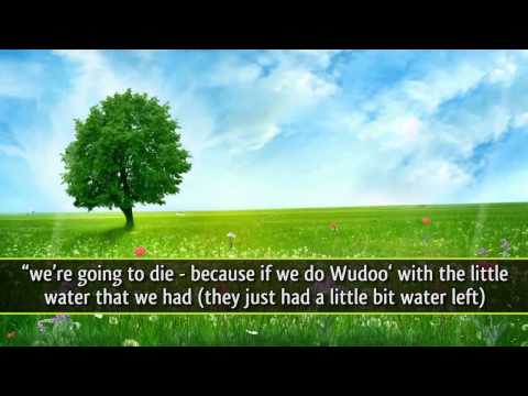 Aisha's Necklace ᴴᴰ ┇ Amazing Reminder ┇ by Sheikh Omar Suleiman ┇