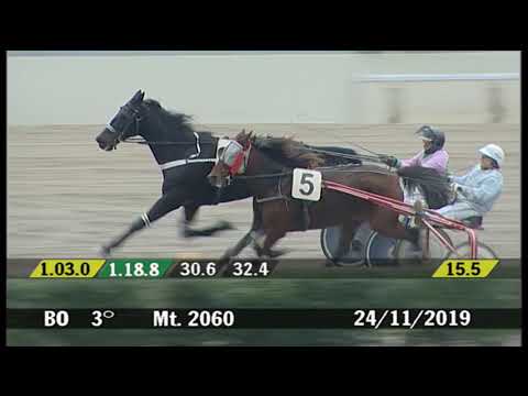 2019 11 24 | Corsa 3 | Metri 2060 | Premio Piazza Maggiore