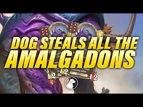 Dog Stole All The Amalgadons | Dogdog Hearthstone Battlegrounds