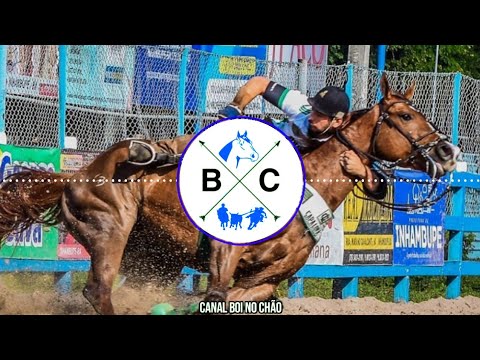 PATRÕES DA PISADINHA - VOU MUDAR (CLIPE DE VAQUEJADA)